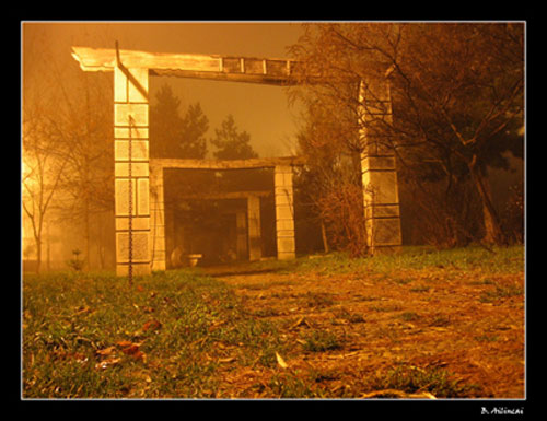 Aleea catre nicaieri